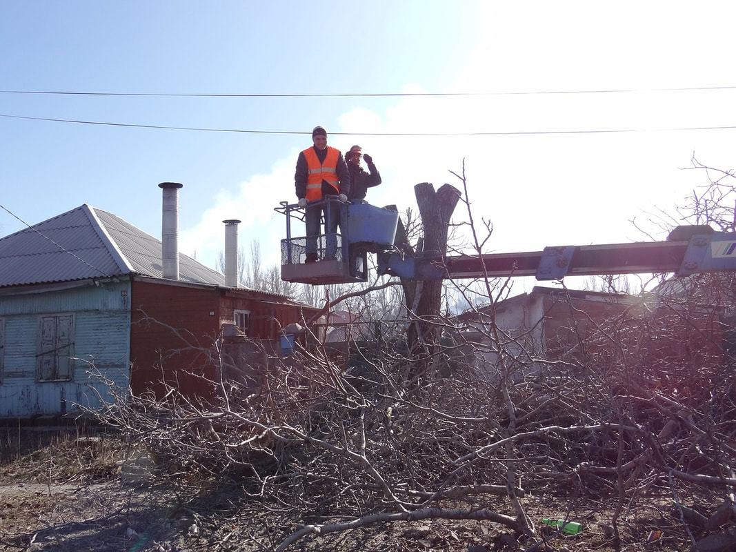 Arborists removing a tree after it was damaged in a large storm in St. Charles MO